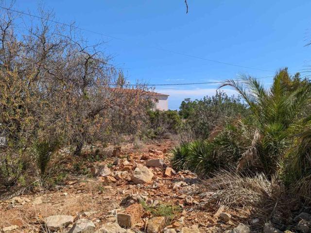 Terreno, Denia