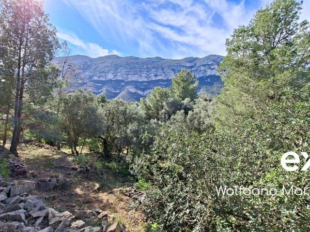 Terreno, Denia