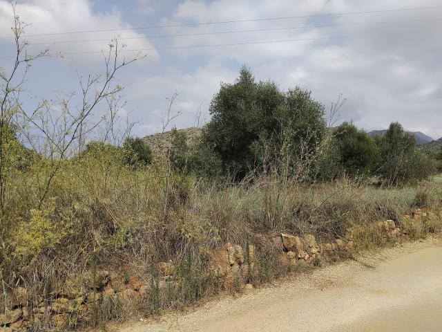 Terreno, Denia