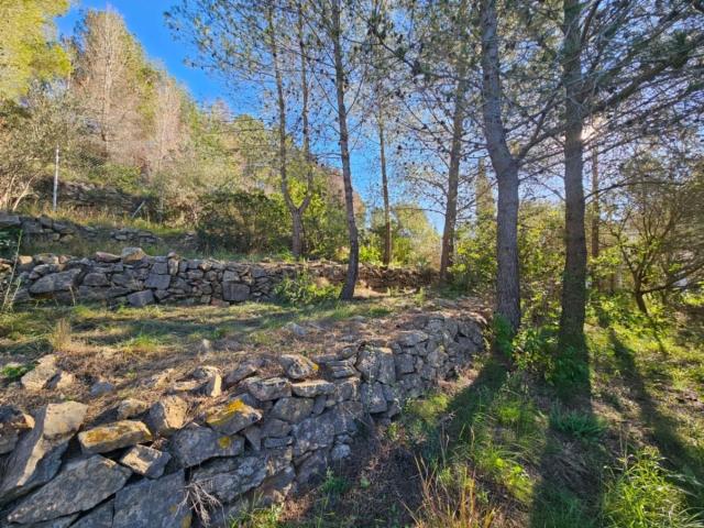 Terreno, Denia