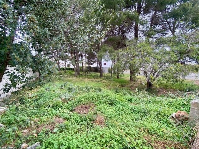 Terreno, Denia