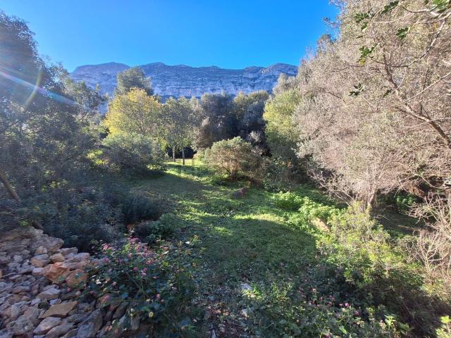 Terreno, Denia