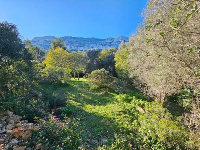 Terreno, Denia