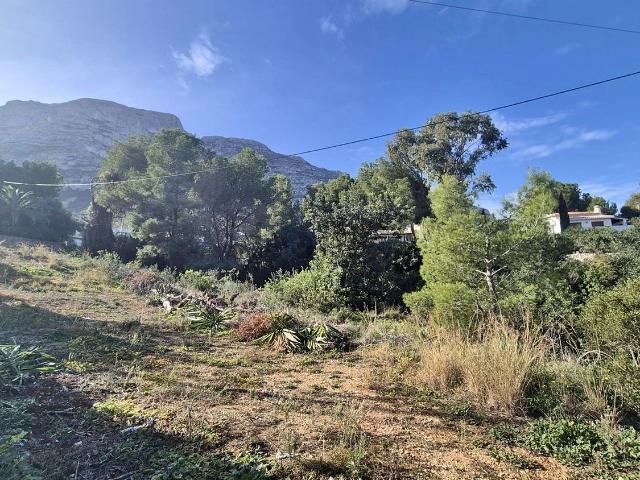 Terreno, Denia