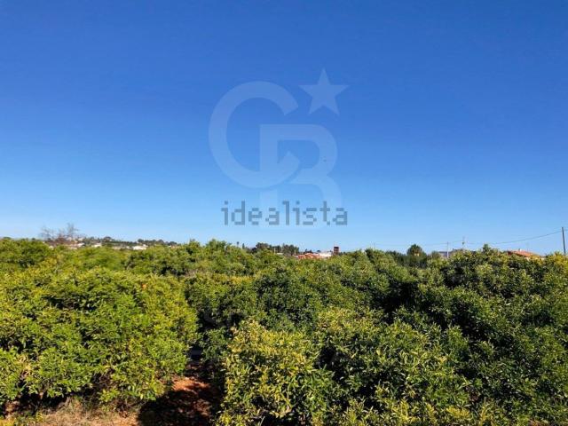 Terreno, Denia