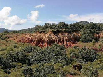 TERRENO DENTRO DE DESARROLLO ECOLÓGICO, VERDADERO CONTACTO CON LA NATURALEZA