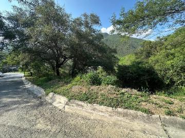 Terreno descendente renacimiento en venta frente 48.73 m2