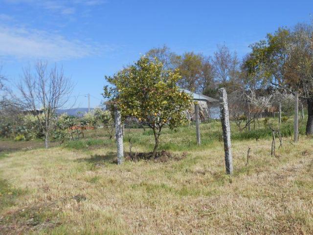 Terreno destinado a reserva agrícola. | 26063350944