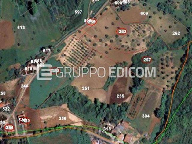 Terreno di 15074 mq in vendita a San Marco Argentano Rif. 4534391