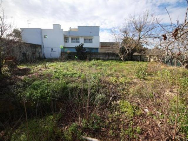 Terreno di 1000 m in vendita a Mesagne [rif. DV 11746]