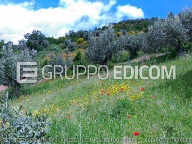 Terreno di 10767 mq in vendita a Acri Rif. 4550069