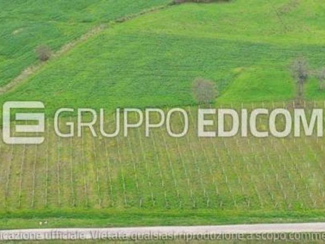 Terreno di 10780 mq in vendita a Circello Rif. 4555425