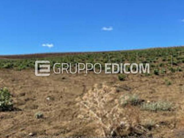 Terreno di 118260 mq in vendita a Monreale Rif. 4552644