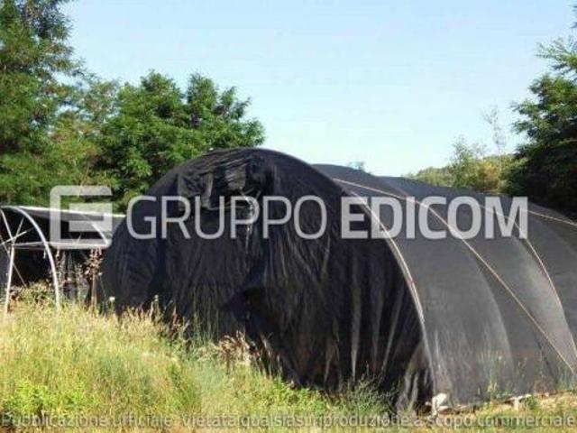 Terreno di 12040 mq in vendita a Luzzi Rif. 4550068