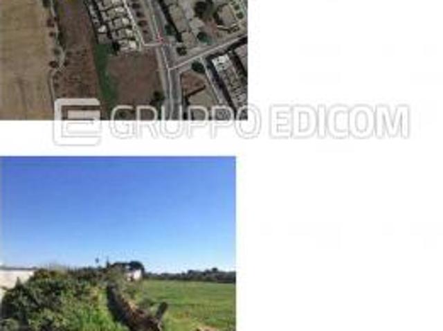 Terreno di 2401 mq in vendita a Sannicola Rif. 4544079