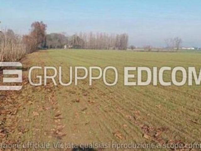 Terreno di 27420 mq in vendita a Nogara Rif. 4556801