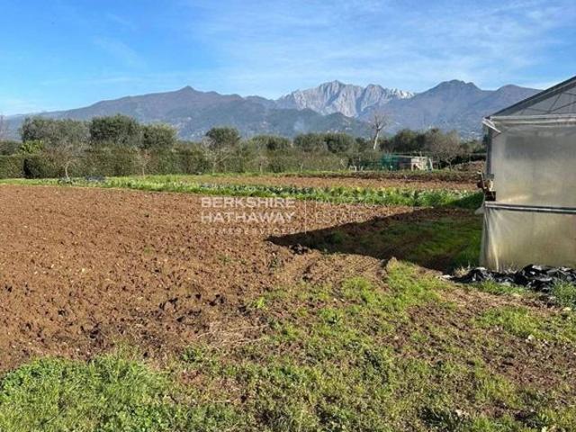 Terreno di 20000 mq Forte dei Marmi, Italia