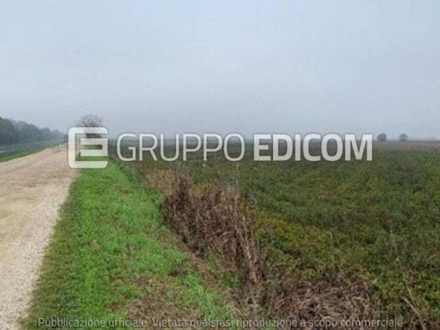 Terreno di 22003 mq in vendita a Legnago Rif. 4552173