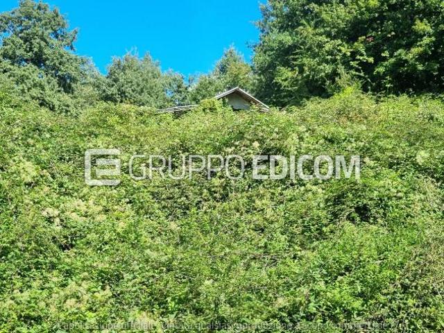 Terreno di 23760 mq in vendita a Filattiera Rif. 4554398