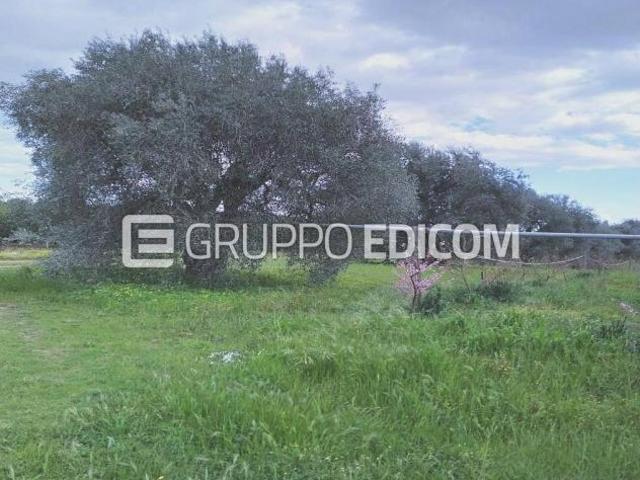 Terreno di 35921 mq in vendita a Montalbano Jonico Rif. 4540089