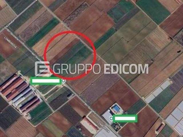 Terreno di 38621 mq in vendita a Mozzecane Rif. 4556488
