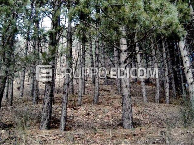 Terreno di 463186 mq in vendita a Acri Rif. 4554909