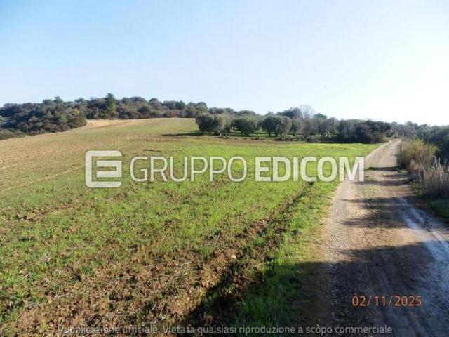 Terreno di 46370 mq in vendita a Montescaglioso Rif. 4555042
