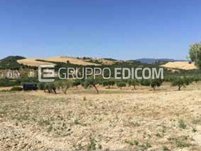 Terreno di 467142 mq in vendita a Ferrandina Rif. 4556077