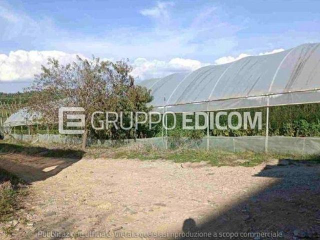 Terreno di 4131 mq in vendita a Rizziconi Rif. 4554892