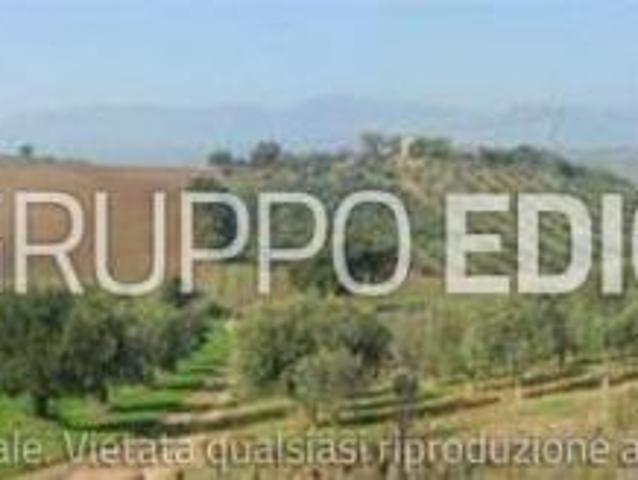 Terreno di 4160 mq in vendita a Roggiano Gravina Rif. 4538397