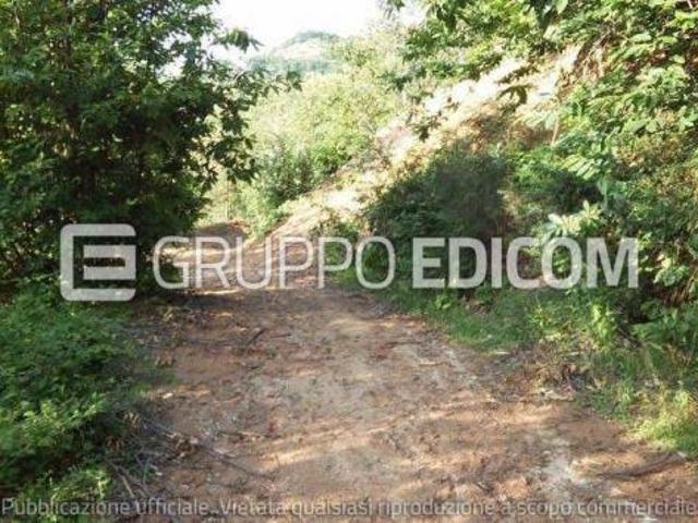 Terreno di 5430 mq in vendita a Luzzi Rif. 4550067