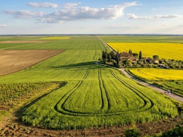 Terreno di 500000 m in vendita a Alessandria