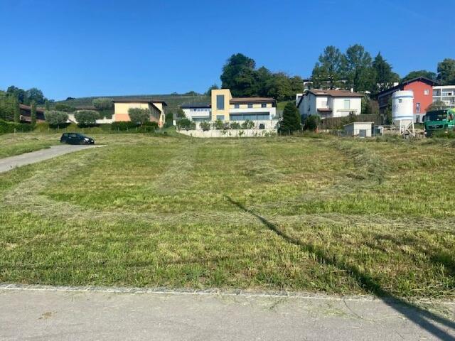 TERRENO DI 600 MQ CON LICENZA PER UNA VILLA A STABIO