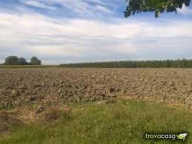 Terreno di 78000 m in vendita a San Prospero