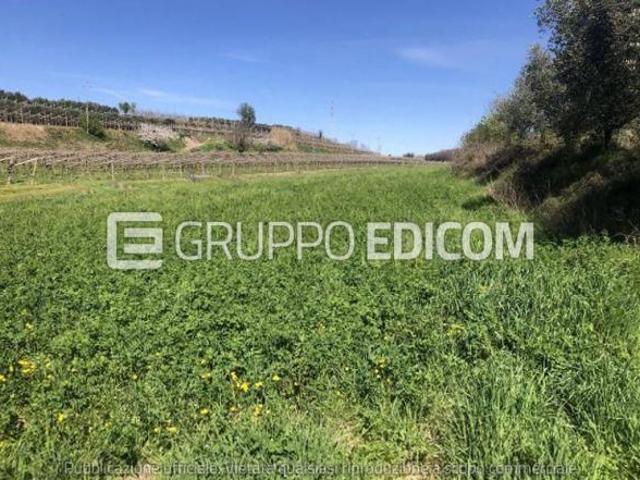 Terreno di 7308 mq in vendita a Sona Rif. 4557508