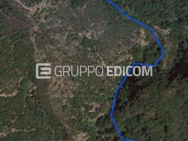 Terreno di 88450 mq in vendita a Zagarise Rif. 4549941