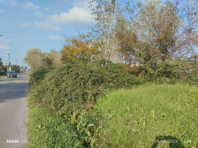 terreno di 8000mq provincia di pavia comune Inverno e Monteleone