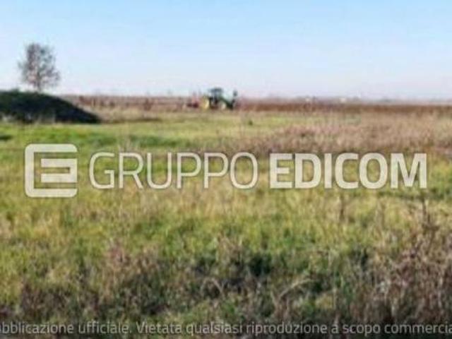 Terreno di 9372 mq in vendita a Nogara Rif. 4555073