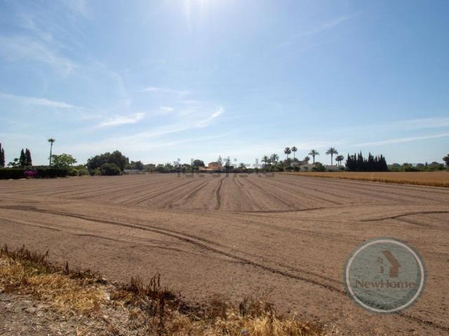 Terreno, Dolores
