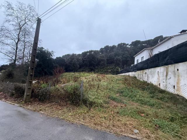 Terreno, Dosrius