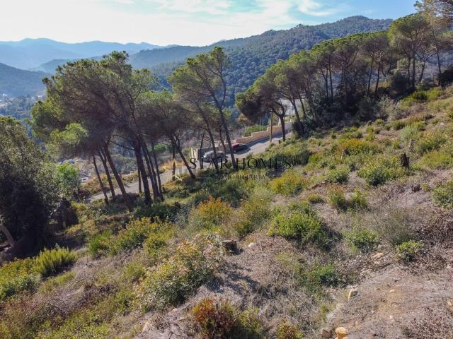 Terreno, Dosrius