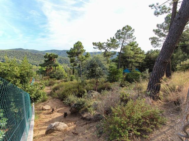 Terreno, Dosrius
