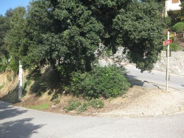 Terreno, Dosrius