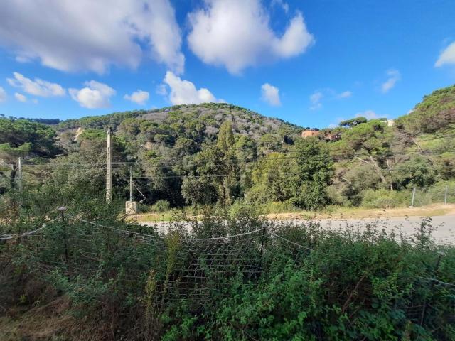 Terreno, Dosrius