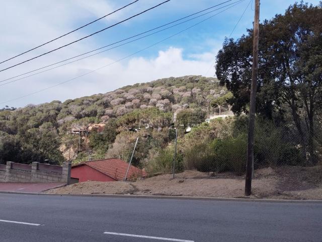Terreno, Dosrius