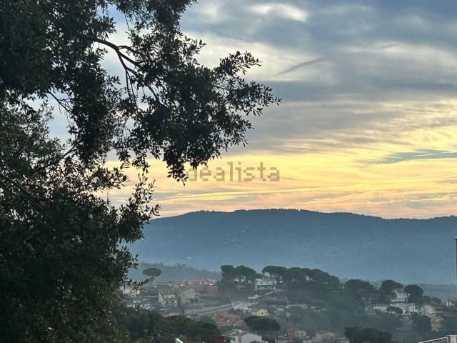 Terreno, Dosrius