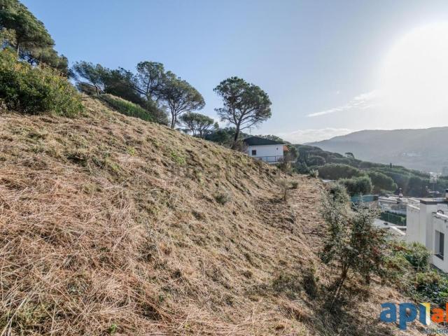 Terreno, Dosrius