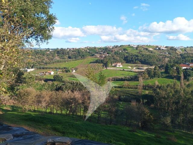 Terreno Exclusivo com Potencial para 2 Moradias | Alcobaça