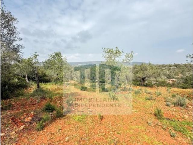 Terreno Exclusivo no Algarve Natureza, Espaço e Autenticidade