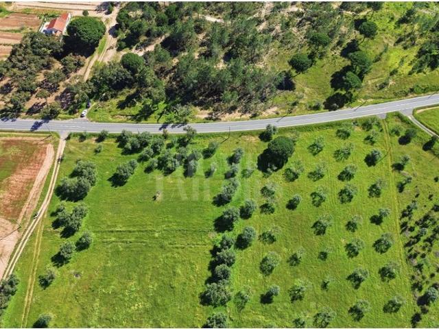 Terreno exclusivo no Coração de Melides com potencial de construção de 500m2